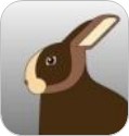 lapin de race suisse