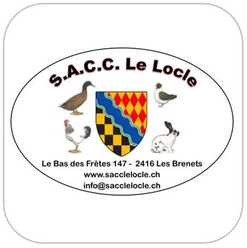 SACCLLOCLE